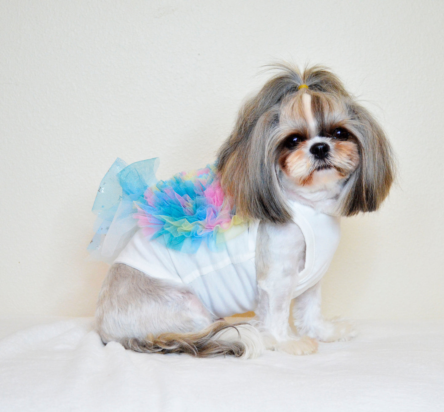 Voluminous Ruffle Sleeveless Top Rainbow