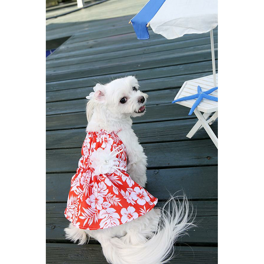 Honeymoon Dog Dress Red