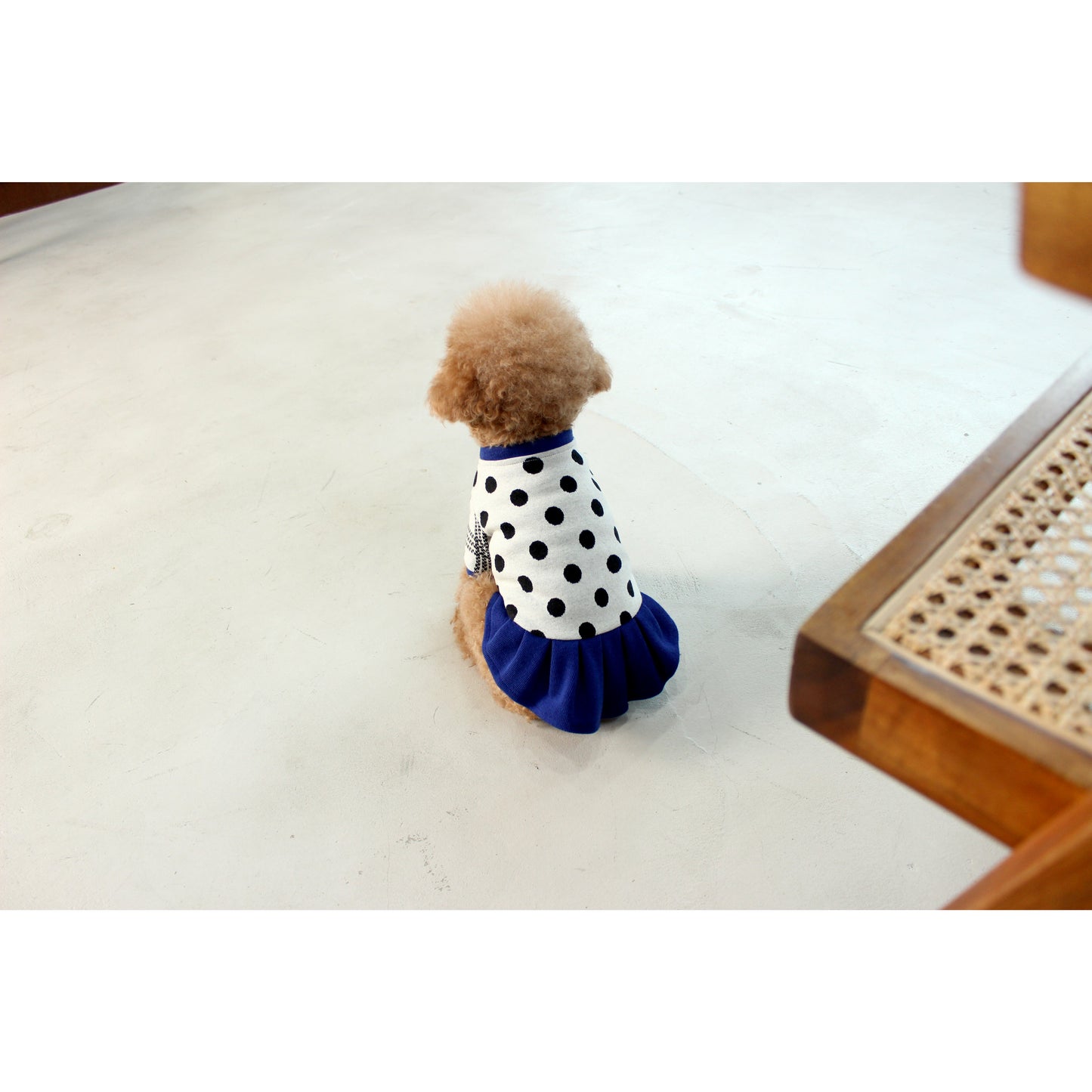 Dalmatian Dot Cardigan Dog Dress