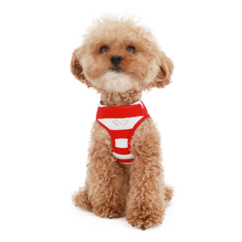 Stripe Dog Harness + Leash